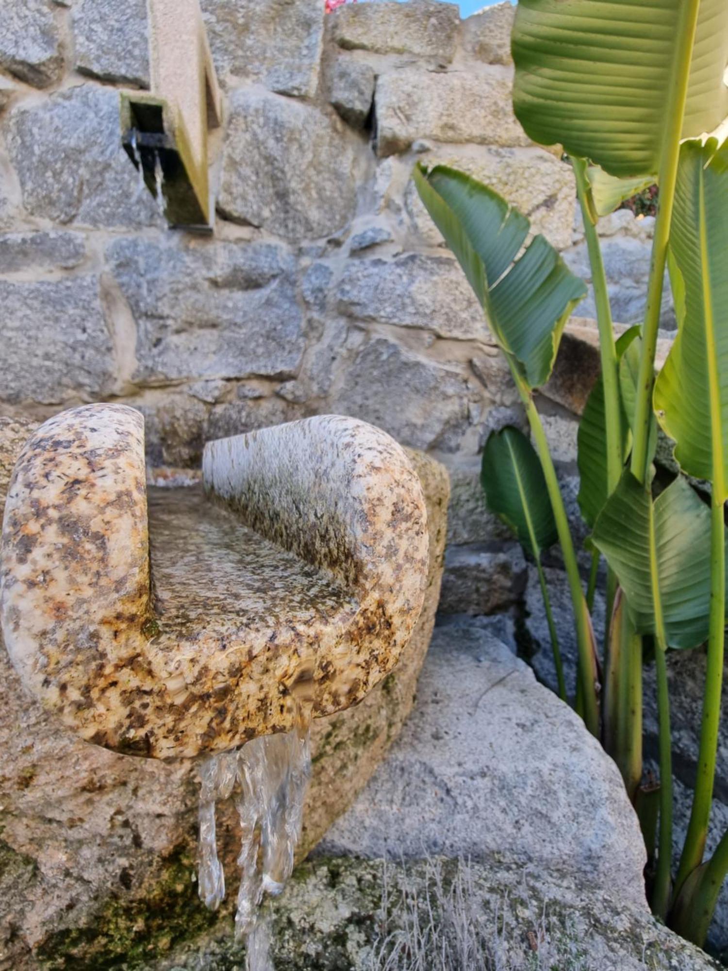Casa Da Leira Villa Amarante Ngoại thất bức ảnh
