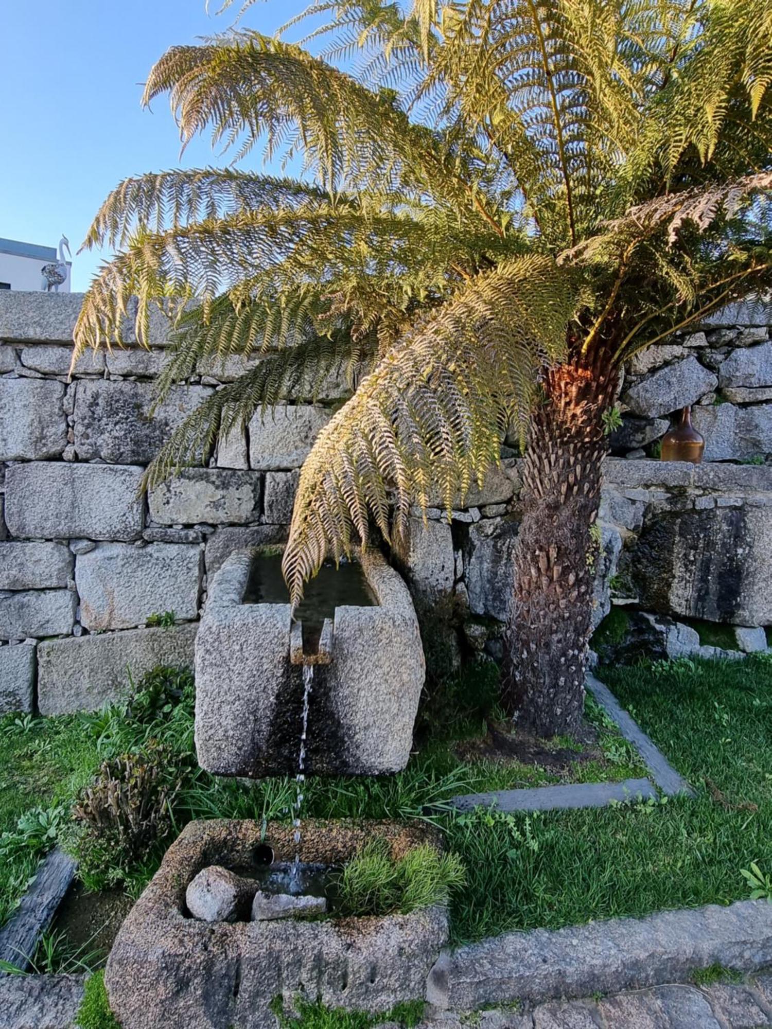 Casa Da Leira Villa Amarante Ngoại thất bức ảnh